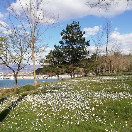 Sun & Sea 솔린